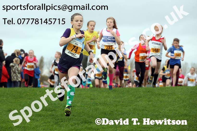 Girls under-11s, Sherman Cup and Davison Shield, Temple Park, South Shields. Photo:  David T. Hewitson/Sports for All Pics